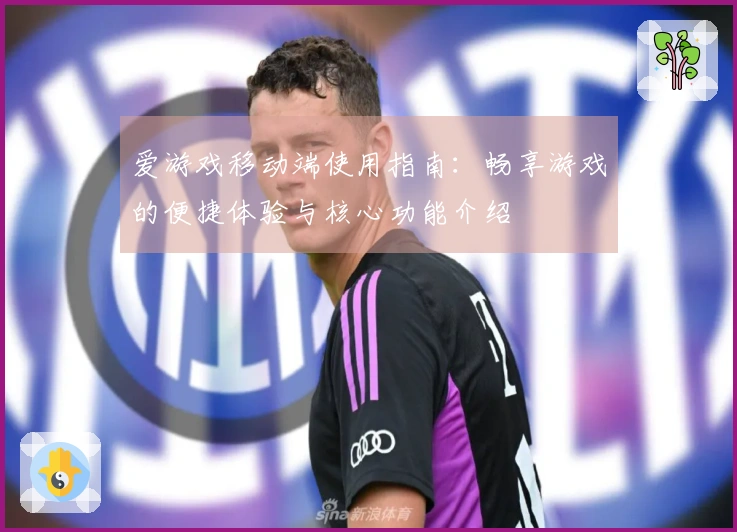 爱游戏移动端使用指南:畅享游戏的便捷体验与核心功能介绍