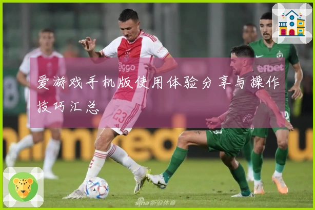 爱游戏手机版使用体验分享与操作技巧汇总