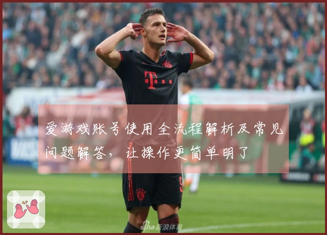 爱游戏账号使用全流程解析及常见问题解答,让操作更简单明了