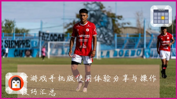 爱游戏手机版使用体验分享与操作技巧汇总